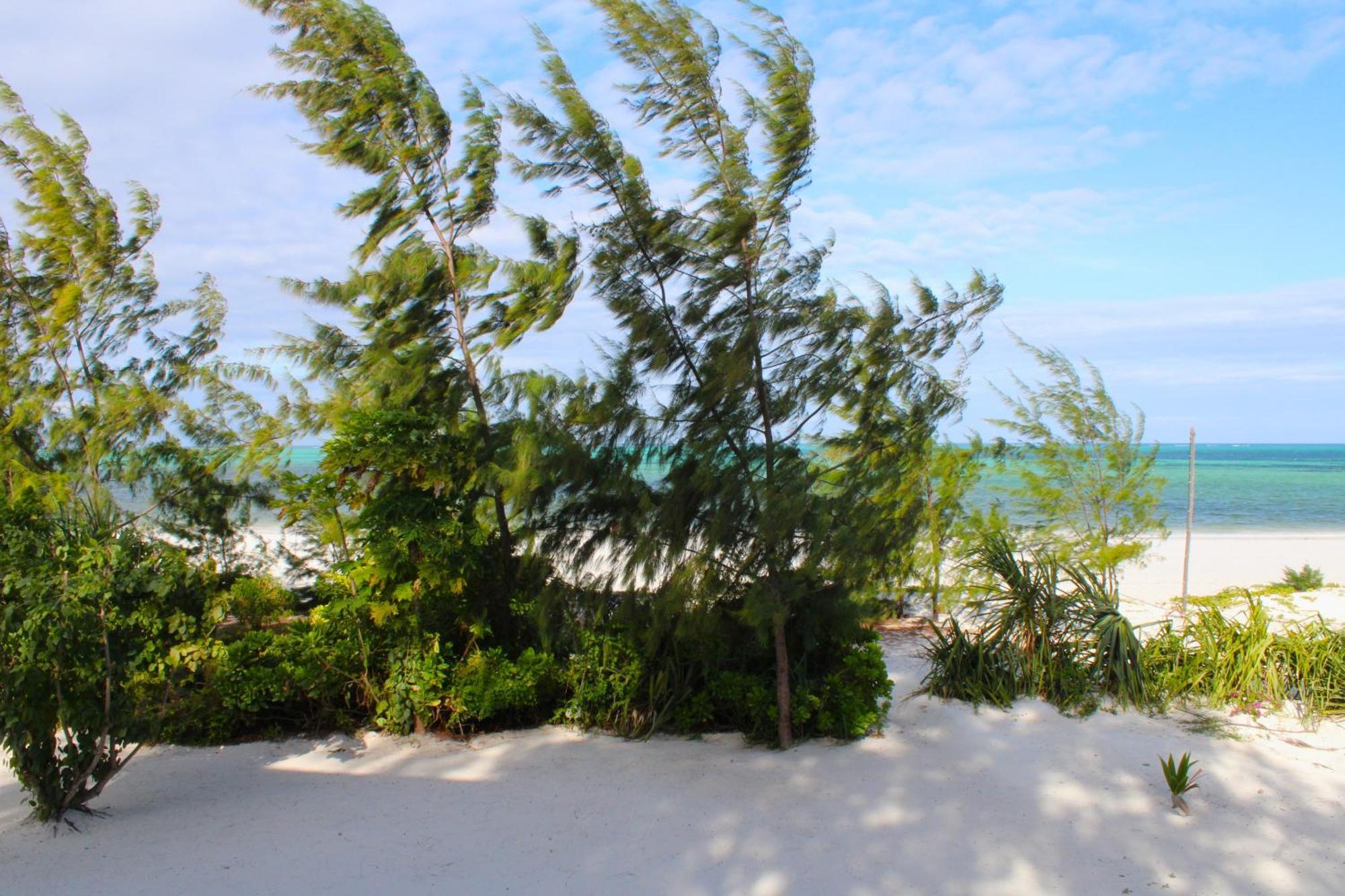 Kivuli Beach Resort Паже Екстериор снимка